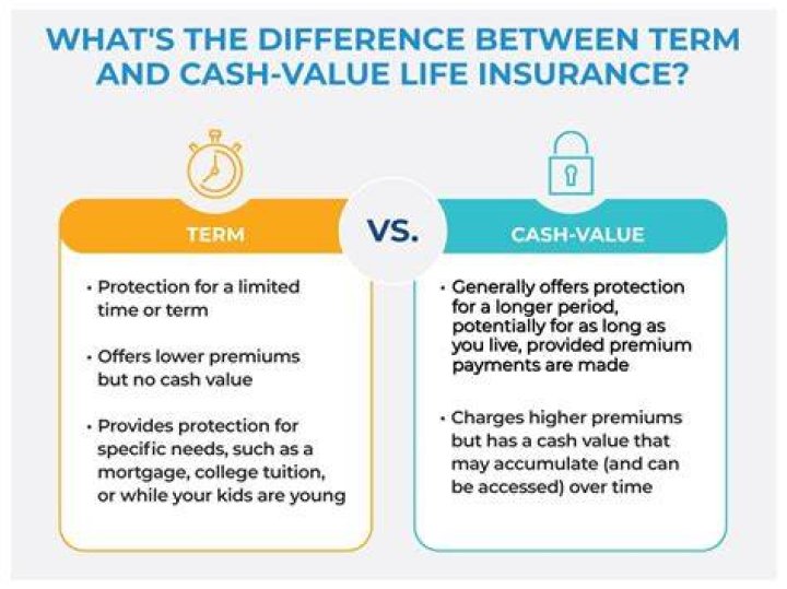 Does a term life insurance policy have cash value?
